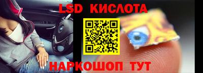прущие крисы Гатчина