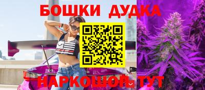 прущие крисы Гатчина