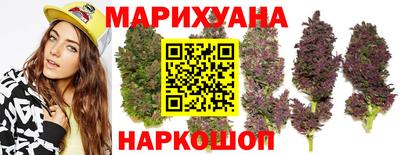 прущие крисы Гатчина